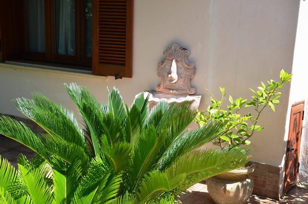 Guest House Belvedere Tropea Room photo